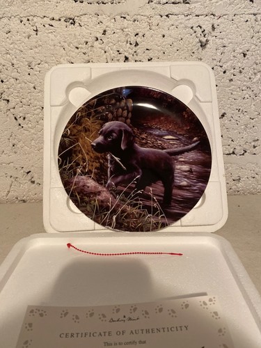 Wedgewood black labrador plate - black,