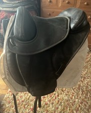 Torsion Treeless Saddle with