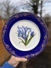 Vintage Dinner Plate Aynsley