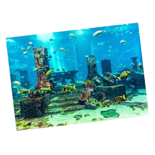 Undersea theme aquarium - theme,