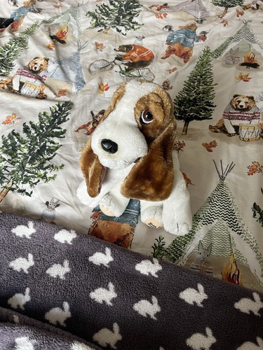 Vintage hush puppies basset - hush,