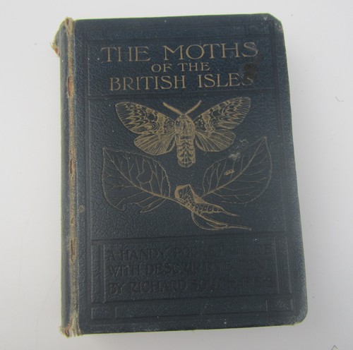 Old the moths british - old,