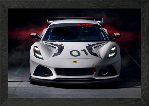 Lotus emira framed wall art - lotus,