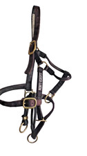 DUALLY TRAINING HALTER BLACK