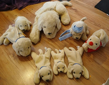Andrex Puppy Guild Dog Toliet