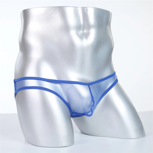 Mens sexy see through briefs - through,