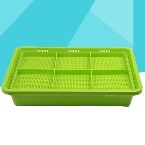 Reusable sprouting tray green - reusable,