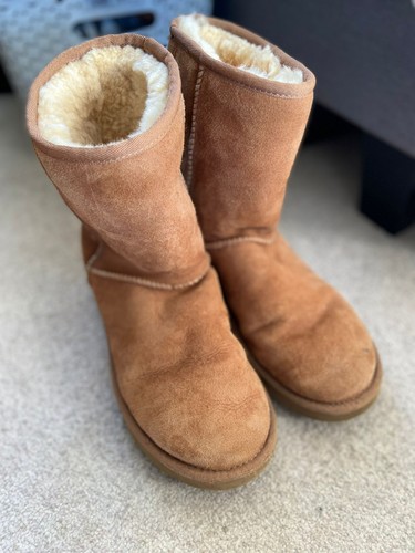 Womens chestnut ugg boots - womens, size