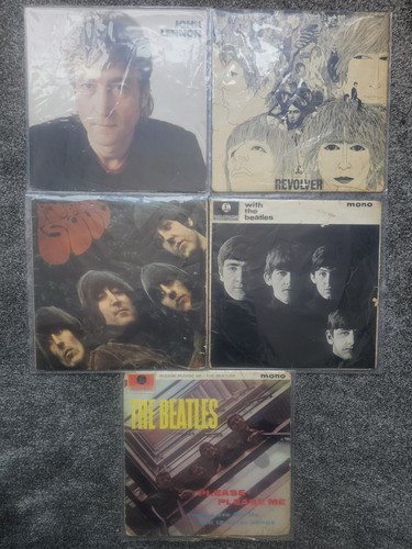 The beatles vinyl record - the,
