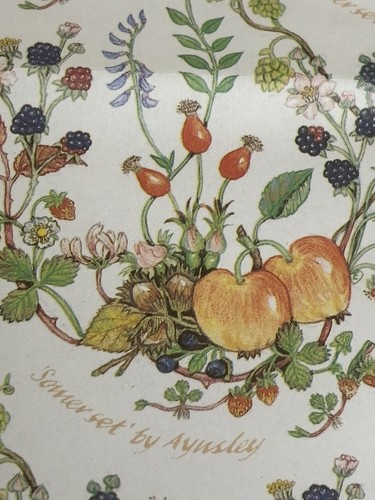 Somerset aynsley - ‘somerset’, by