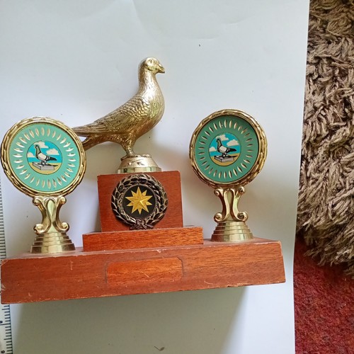 Pigeon racing trophy no - ,