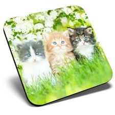 Square Single Coaster - Gorgeous Kittens Garden Cats Animals  #8663