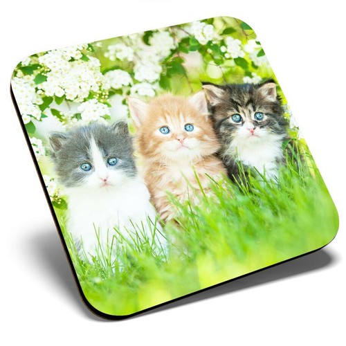Square single coaster - square,