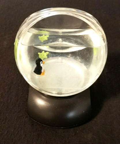 Liquid star penguin - and, turtle