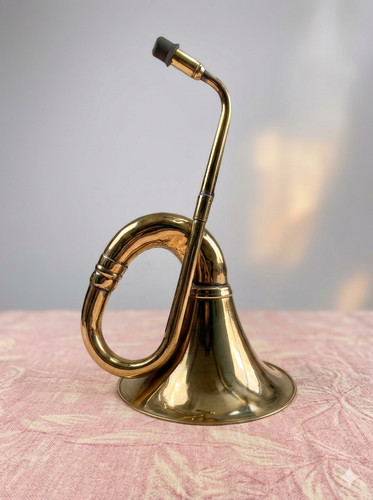 Giant ear trumpet for the - ear,