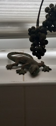 Lizard beautiful intricate - lizard,, a