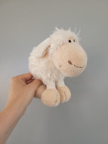 Nici standing white sheep - nici,