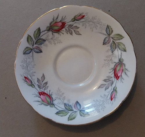 Paragon bridal rose - paragon, saucer