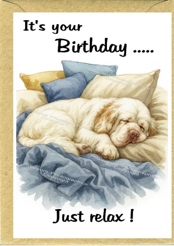 Clumber spaniel dog - dog, 6")