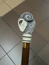 RAMS HEAD WALKING STICK DERBY RAM