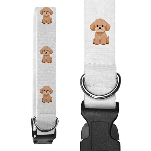 Chibi toy poodle dog collars - toy,