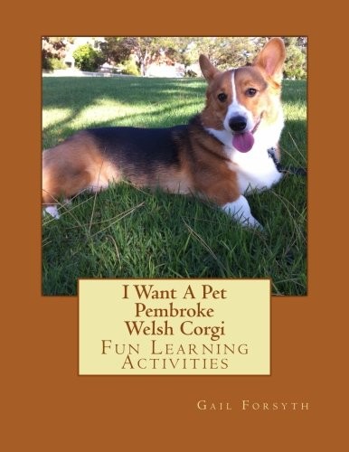 Want a pet pembroke - pembroke, welsh