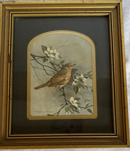 Framed basil ede robin print - framed,