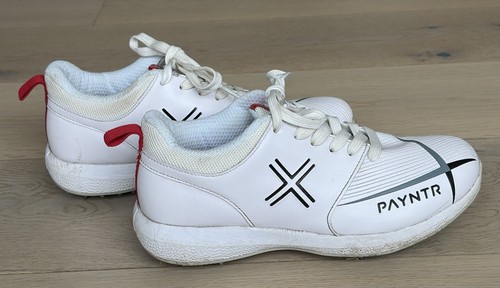 Payntr cricket shoes - payntr,