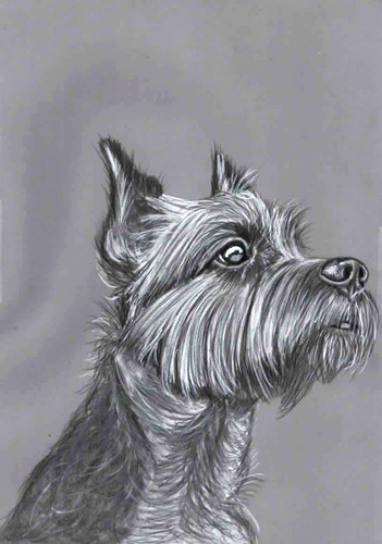 Original pencil artwork - original, b&w