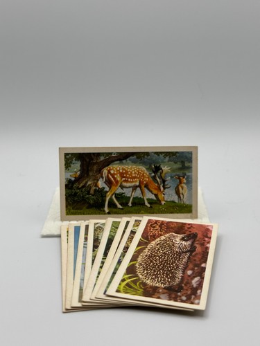 1958 brooke bond british wild - british,