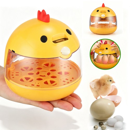 Automatic egg incubator - automatic,