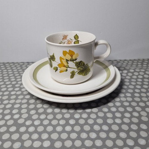 Royal worcester palissy - royal,