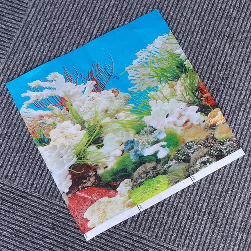 Aquarium fish tank ocean - 3d,
