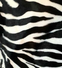 Vibrant Zebra Cushion Covers