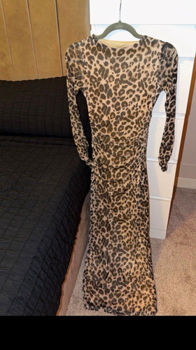Quiz leopard print - leopard,