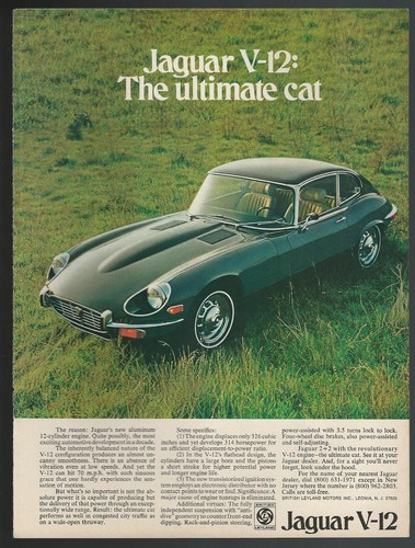 1972 jaguar type - jaguar, e-type