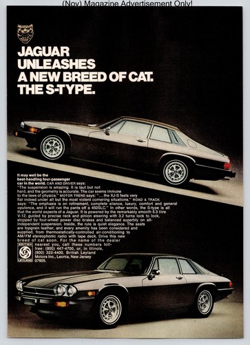 Jaguar xjs v12 coupe - xjs, luxury