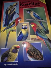 A Guide To Rosellas And Their
