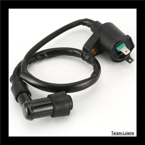 Ignition coil suppressor for - +,
