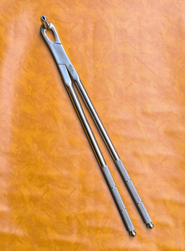 Long nose equine dental - nose, 21"