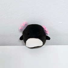 Jaelyn The Black Axolotl