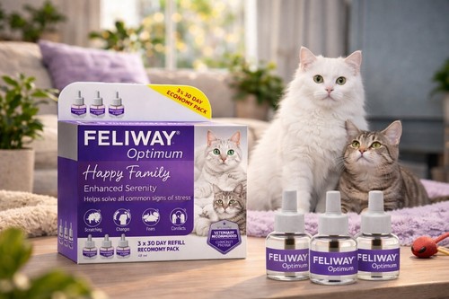 Feliway optimum day refill - day,