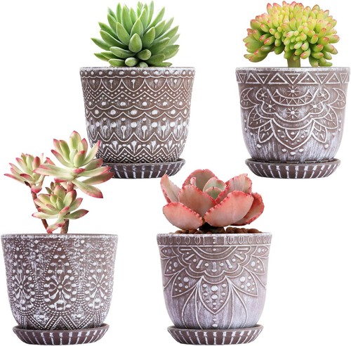 4pcs ceramic succulent - 4",
