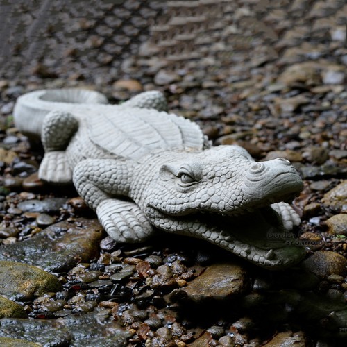 Crocodile hand cast - crocodile,