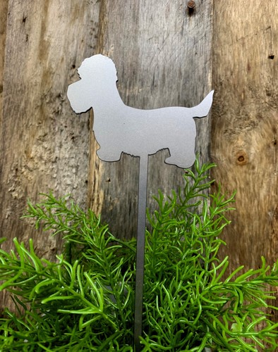 Dandie dinmont terrier - dinmont,