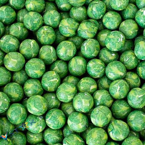 Solid milk chocolate sprouts - solid,