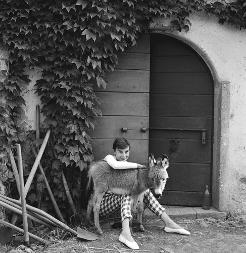 Audrey hepburn 8x10 movie - audrey,