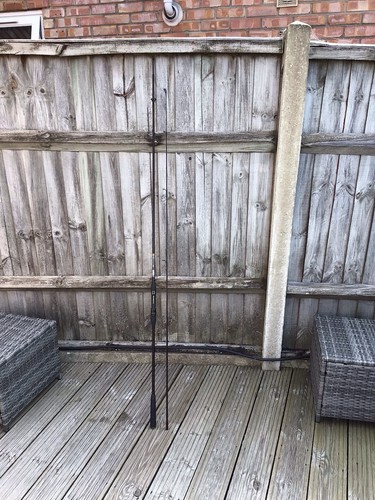 Daiwa whisker carp rod - 11’,