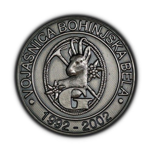 Slovenia 2002 medal saf - slovenia., 2002,