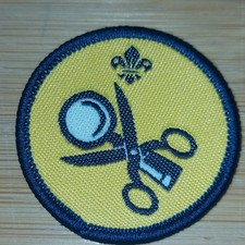 UK Scouting Current Beaver